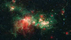 Telescópio James Webb mostra, pela primeira vez, habitantes cósmicos ocultos na região de W51